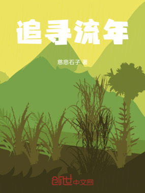 追寻流年在线阅读