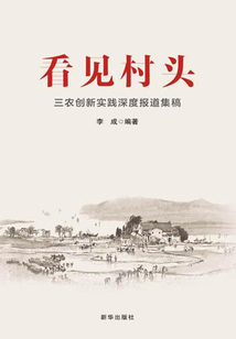 看見村頭：三農創新實踐深度報道集稿