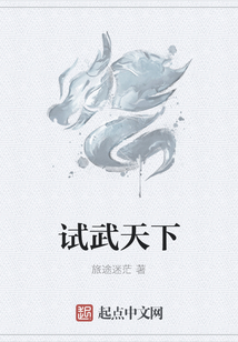 試武天下