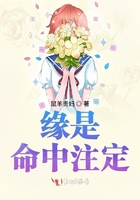 緣是命中注定在線閱讀