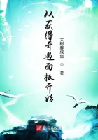 从获得奇遇面板开始在线阅读