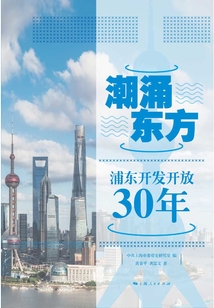 潮涌东方：浦东开发开放30年