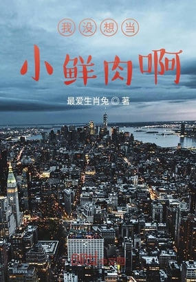 华娱之我要成名在线阅读