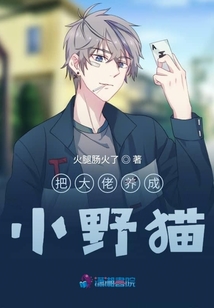 把大佬養(yǎng)成小野貓