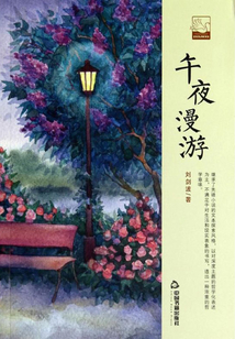 午夜漫游