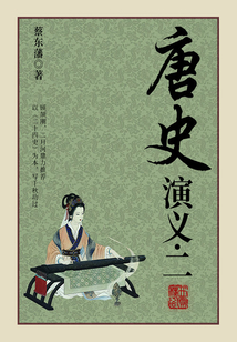蔡東藩?dú)v史小說:唐史演義(2)