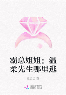霸總姐姐：溫柔先生哪里逃