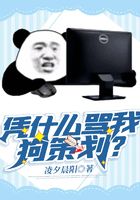 憑什么罵我狗策劃？在線閱讀