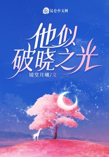 他似破曉之光