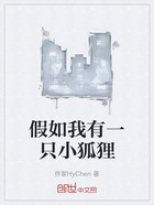 假如我有一只小狐貍在線閱讀