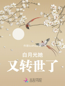 白月光她又轉世了