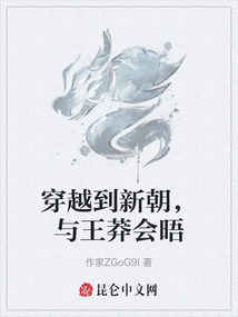 穿越到新朝,與王莽會晤