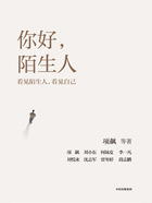 你好,陌生人在线阅读