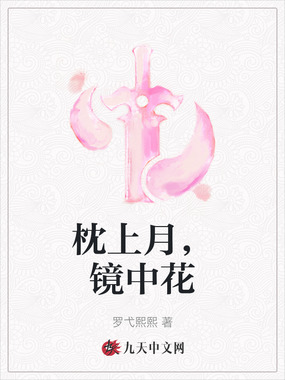 枕上月，镜中花在线阅读