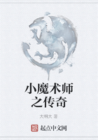 小魔術師之傳奇在線閱讀