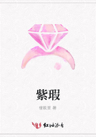 紫瑕在線閱讀