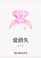 愛(ài)消失在線閱讀