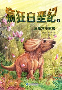 三角龍小疙瘩