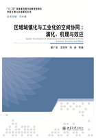 区域城镇化与工业化的空间协同：演化、机理与效应在线阅读