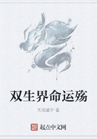 双生界命运殇在线阅读