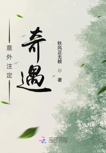 意外注定奇遇
