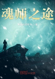 魂師之途