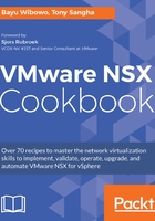 VMware NSX Cookbook