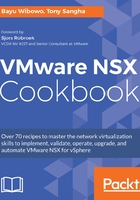 VMware NSX Cookbook在线阅读