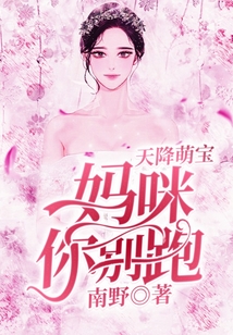 天降萌寶：媽咪你別跑