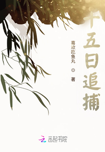 十五日追尋