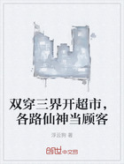 双穿三界开超市,各路仙神当顾客在线阅读