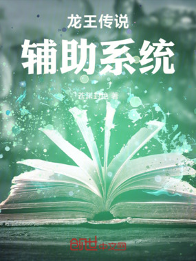 龙王传说辅助系统在线阅读