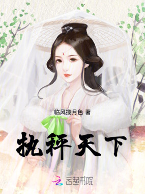 执秤天下在线阅读