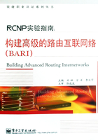 RCNP实验指南：构建高级的路由互联网络(BARI)在线阅读