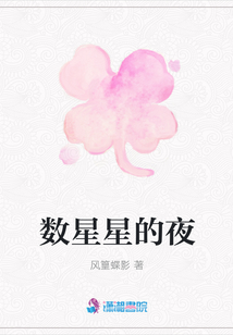 數星星的夜