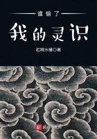 誰偷了我的靈識在線閱讀