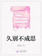 久別不成思在線閱讀
