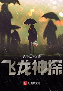 飛龍神探