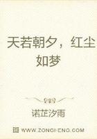 江湖追妻实录在线阅读