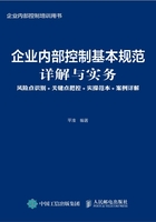 企业内部控制基本规范详解与实务：风险点识别+关键点把控+实操范本+案例详解在线阅读