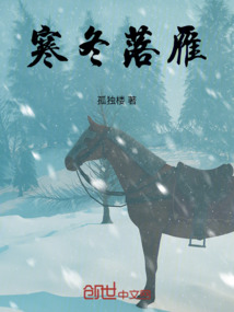 寒冬落雁