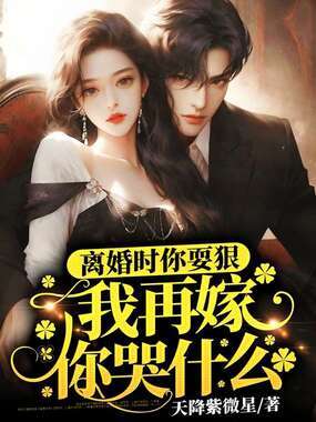 离婚时你耍狠,我再嫁你哭什么在线阅读