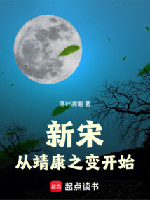 新宋：從靖康之變開始