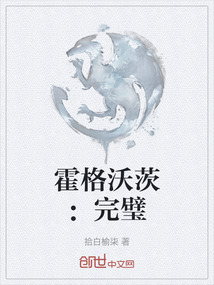 霍格沃茨：完璧