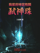 我紫府神宫有颗弑神珠在线阅读