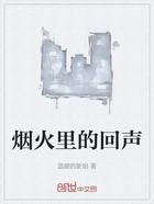 煙火里的回聲在線閱讀