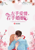 左手愛情，右手婚姻在線閱讀