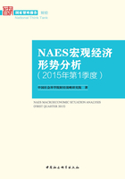 NAES宏观经济形势分析（2015年第1季度）在线阅读