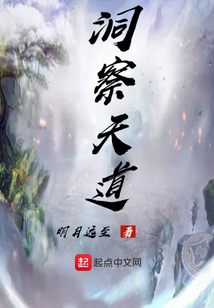 洞察天道