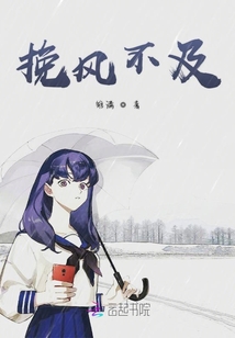 挽風(fēng)不及